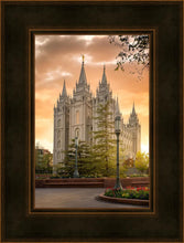Load image into Gallery viewer, Salt Lake - The Promise
