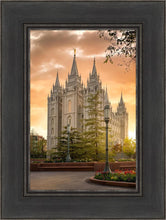 Load image into Gallery viewer, Salt Lake - The Promise
