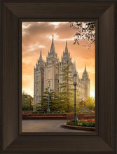 Load image into Gallery viewer, Salt Lake - The Promise

