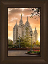 Load image into Gallery viewer, Salt Lake - The Promise
