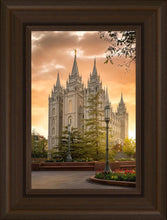 Load image into Gallery viewer, Salt Lake - The Promise
