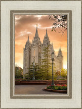 Load image into Gallery viewer, Salt Lake - The Promise
