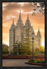 Load image into Gallery viewer, Salt Lake - The Promise
