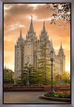 Load image into Gallery viewer, Salt Lake - The Promise
