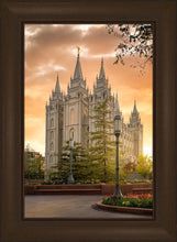 Load image into Gallery viewer, Salt Lake - The Promise
