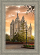 Load image into Gallery viewer, Salt Lake - The Promise
