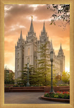 Load image into Gallery viewer, Salt Lake - The Promise
