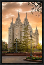 Load image into Gallery viewer, Salt Lake - The Promise
