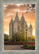 Load image into Gallery viewer, Salt Lake - The Promise

