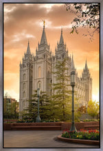 Load image into Gallery viewer, Salt Lake - The Promise
