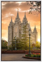 Load image into Gallery viewer, Salt Lake - The Promise
