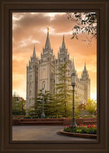 Load image into Gallery viewer, Salt Lake - The Promise
