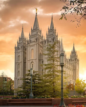 Load image into Gallery viewer, Salt Lake - The Promise
