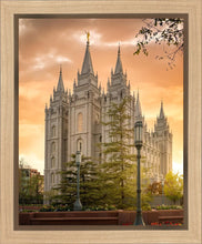 Load image into Gallery viewer, Salt Lake - The Promise
