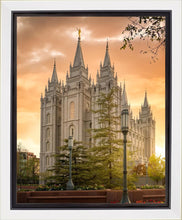 Load image into Gallery viewer, Salt Lake - The Promise
