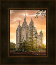 Load image into Gallery viewer, Salt Lake - The Promise

