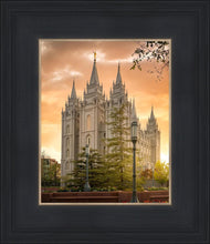 Load image into Gallery viewer, Salt Lake - The Promise
