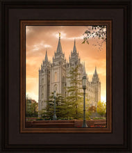 Load image into Gallery viewer, Salt Lake - The Promise
