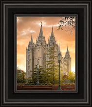 Load image into Gallery viewer, Salt Lake - The Promise
