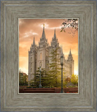 Load image into Gallery viewer, Salt Lake - The Promise
