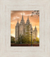 Load image into Gallery viewer, Salt Lake - The Promise
