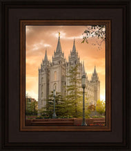 Load image into Gallery viewer, Salt Lake - The Promise
