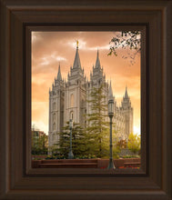Load image into Gallery viewer, Salt Lake - The Promise
