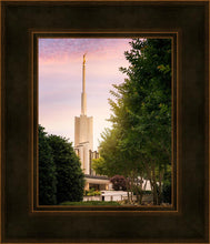 Load image into Gallery viewer, Atlanta Garden
