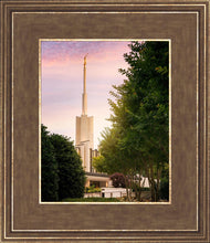 Load image into Gallery viewer, Atlanta Garden
