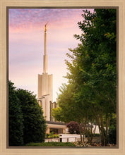 Load image into Gallery viewer, Atlanta Garden
