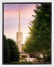 Load image into Gallery viewer, Atlanta Garden
