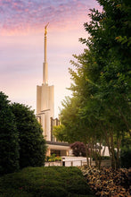 Load image into Gallery viewer, Atlanta Garden
