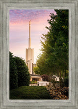 Load image into Gallery viewer, Atlanta Garden
