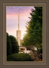 Load image into Gallery viewer, Atlanta Garden
