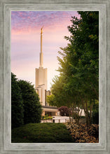 Load image into Gallery viewer, Atlanta Garden
