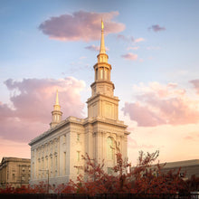 Load image into Gallery viewer, Philadelphia Eternal Union
