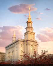 Load image into Gallery viewer, Philadelphia Eternal Union

