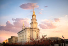 Load image into Gallery viewer, Philadelphia Eternal Union
