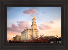 Load image into Gallery viewer, Philadelphia Eternal Union
