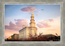 Load image into Gallery viewer, Philadelphia Eternal Union
