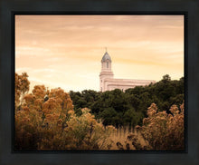 Load image into Gallery viewer, Cedar City Golden
