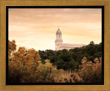 Load image into Gallery viewer, Cedar City Golden
