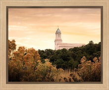 Load image into Gallery viewer, Cedar City Golden

