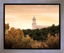 Load image into Gallery viewer, Cedar City Golden
