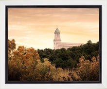 Load image into Gallery viewer, Cedar City Golden
