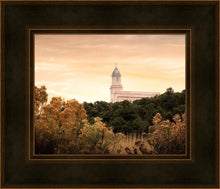 Load image into Gallery viewer, Cedar City Golden
