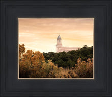 Load image into Gallery viewer, Cedar City Golden
