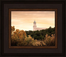 Load image into Gallery viewer, Cedar City Golden
