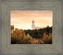Load image into Gallery viewer, Cedar City Golden
