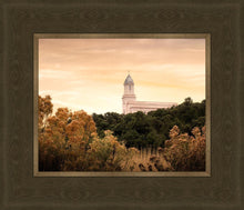 Load image into Gallery viewer, Cedar City Golden
